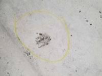 Roofing & Waterproofing Maintenance & Service: Preventative Maintenance