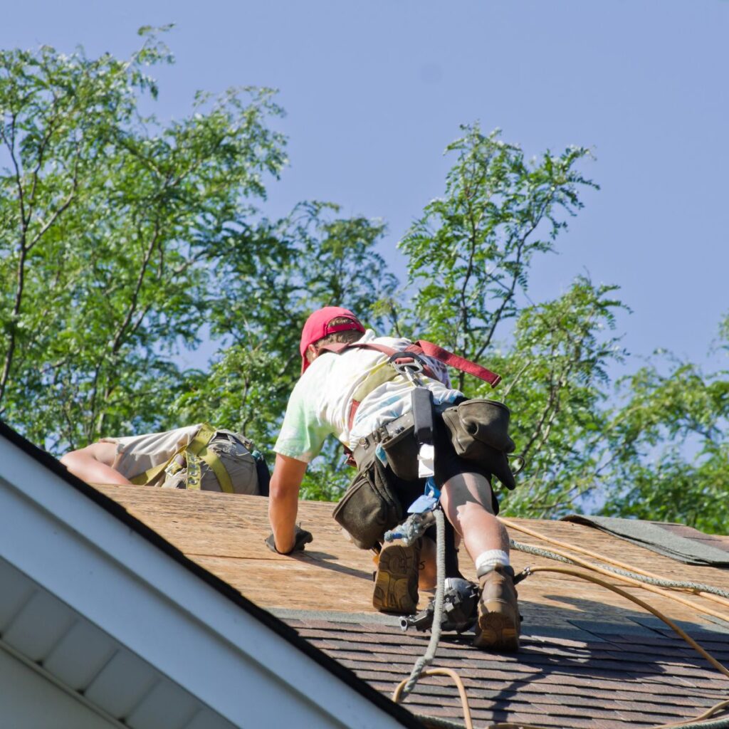 7 Roof Maintenance Tips for Boulder Homeowners